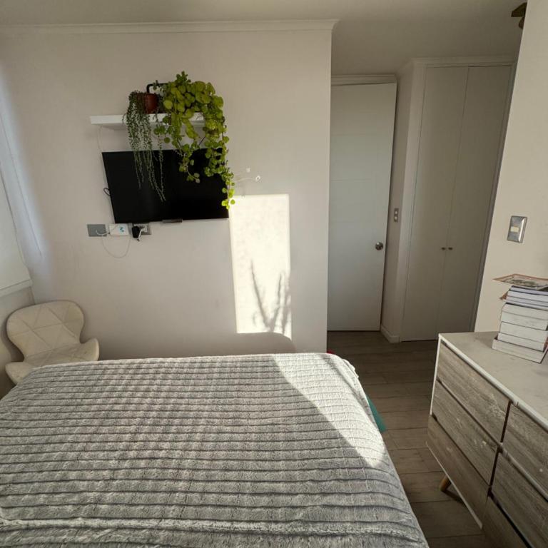 Departamento Moderno, central y cómodo - Three-Bedroom Apartment - 12