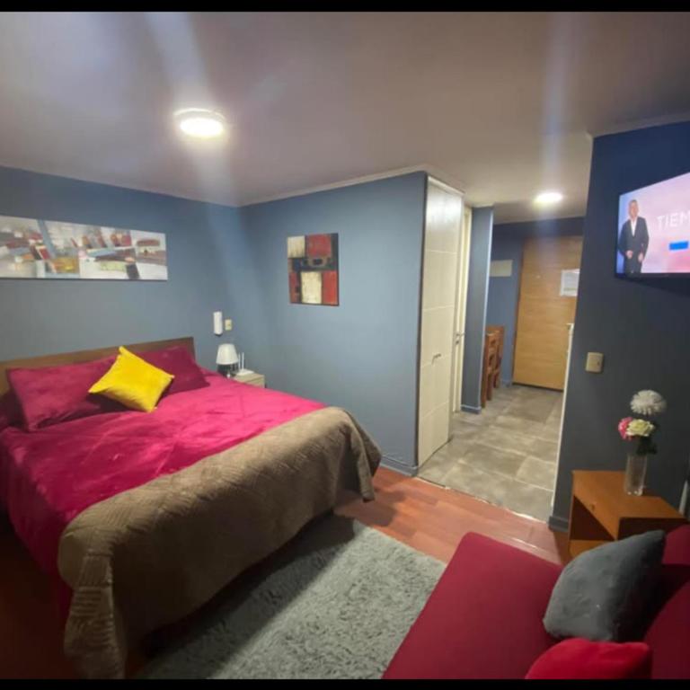 apart nuevo santiago - One-Bedroom Apartment - 4