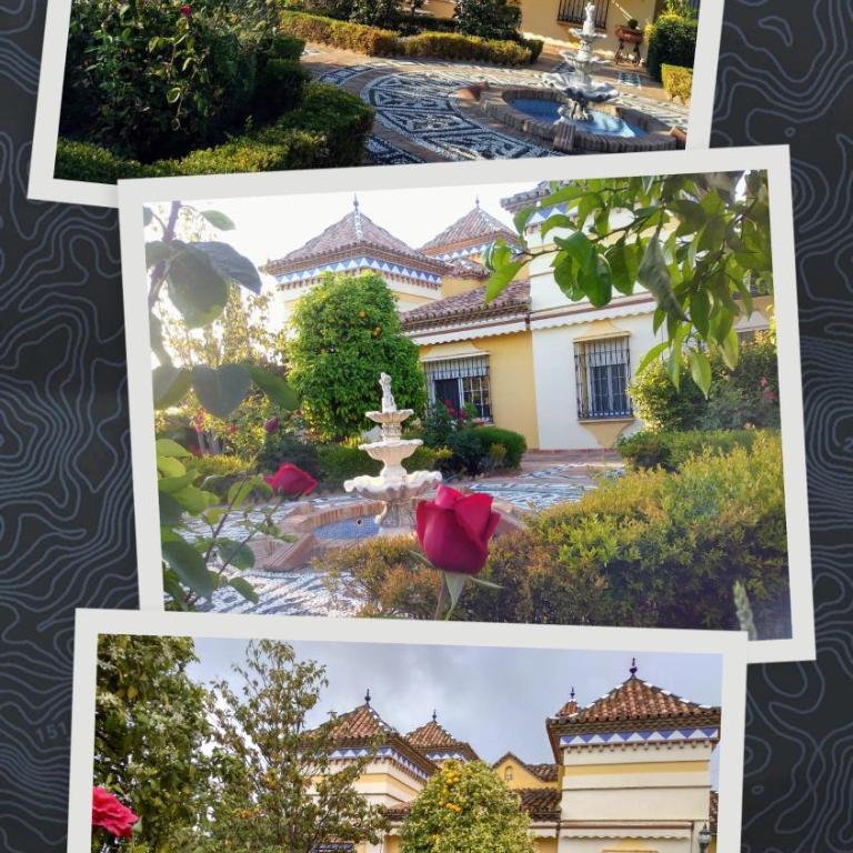 Andalusian experience - Villa Deluxe - 15