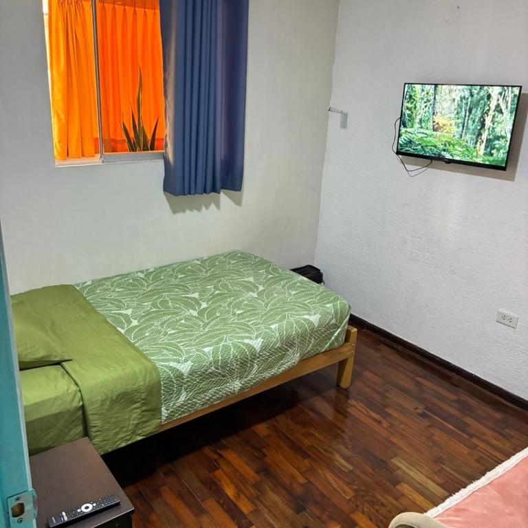 Green Love - Single Room - 5