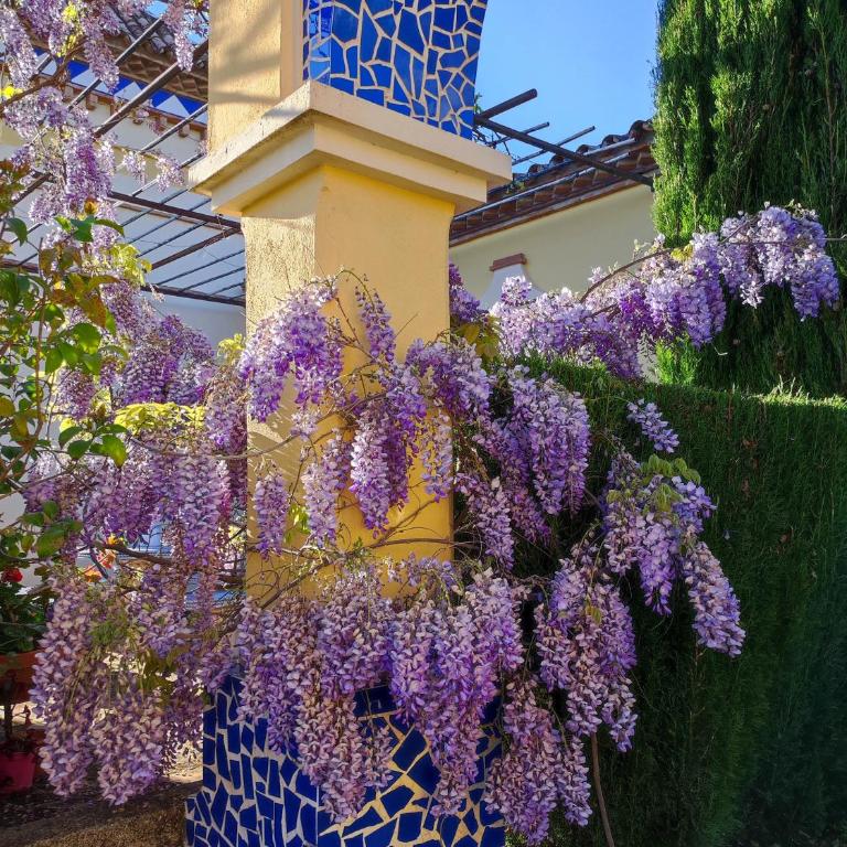 Andalusian experience - Villa Deluxe - 14