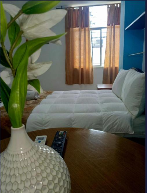 hotel Oro Mar - Executive Suite - 5