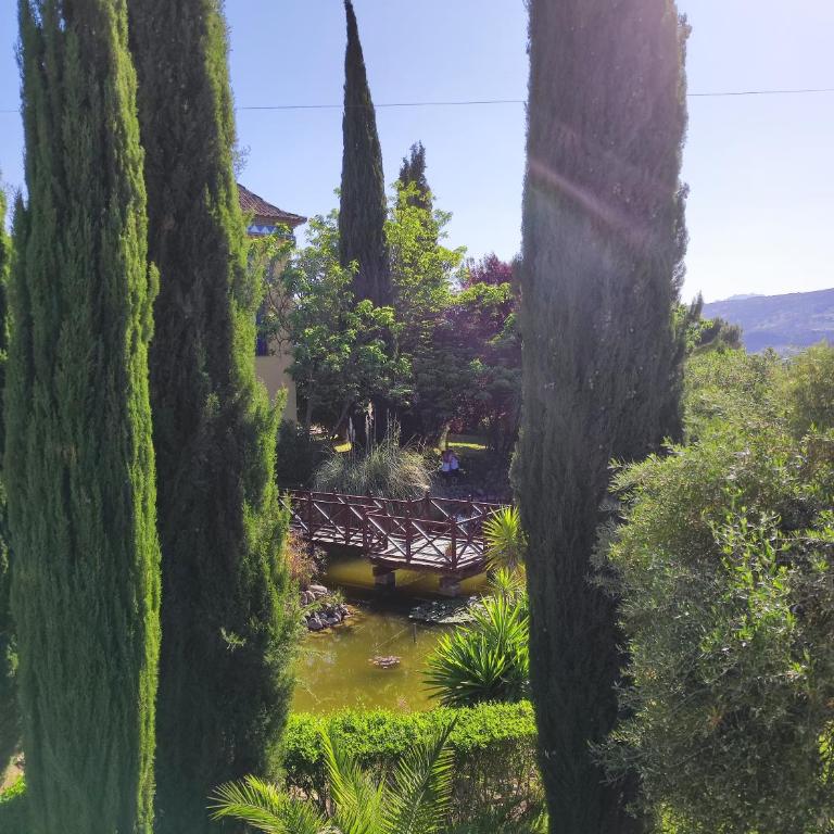 Andalusian experience - Villa Deluxe - 55
