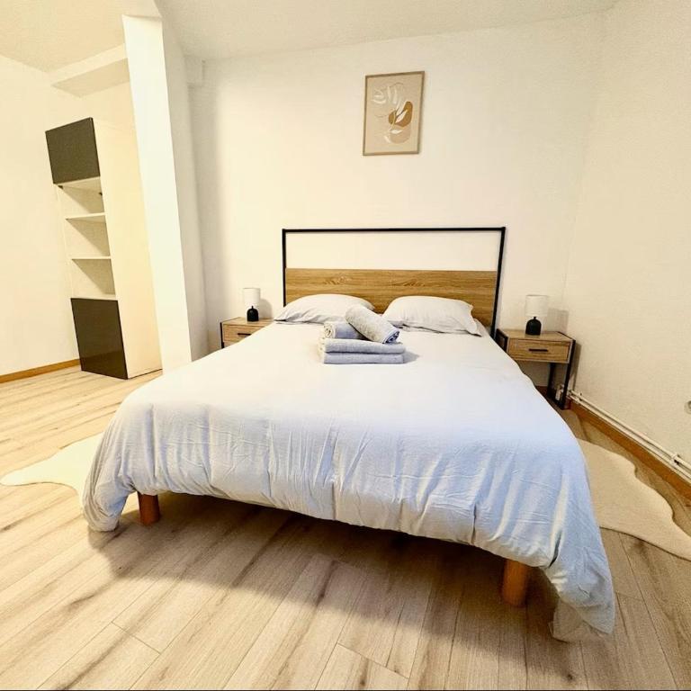 Spacieux appartement 3 chambres à Strasbourg - Three-Bedroom Apartment - 9