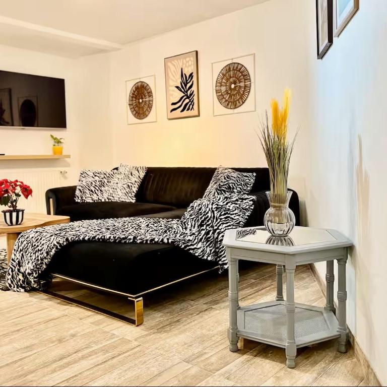 Spacieux appartement 3 chambres à Strasbourg - Three-Bedroom Apartment - 17