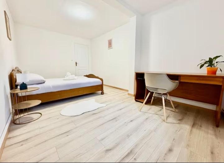 Spacieux appartement 3 chambres à Strasbourg - Three-Bedroom Apartment - 19