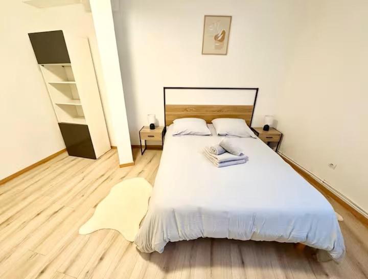 Spacieux appartement 3 chambres à Strasbourg - Three-Bedroom Apartment - 22