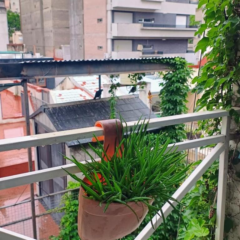A media cuadra de la principal Av Boulevard Oroño! ALOJAMIENTOS ROSARIO! - Apartamento de 1 dormitorio - 12