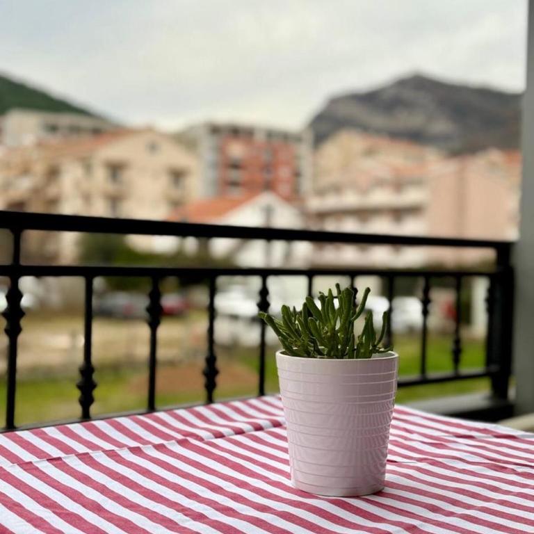 ADAIST Apartments Budva Free Parking & Balcony - Standardna Dvokrevetna Soba sa Zasebnim Krevetima - 7