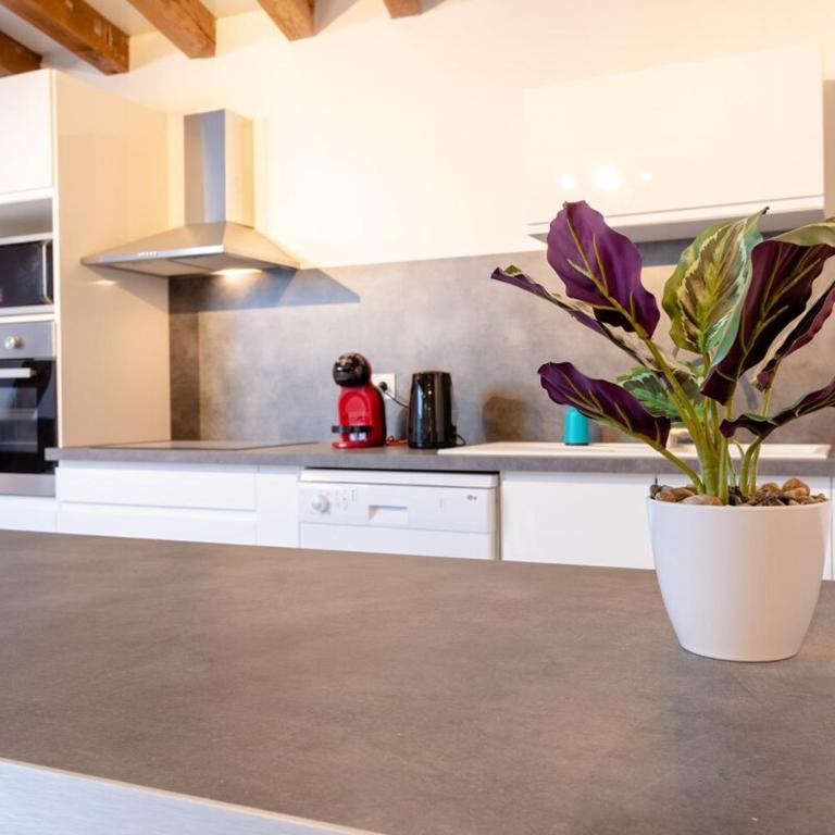 Havre de paix T4 de 90 m2 - Coeur de Troyes - Apartment mit 3 Schlafzimmern - 13