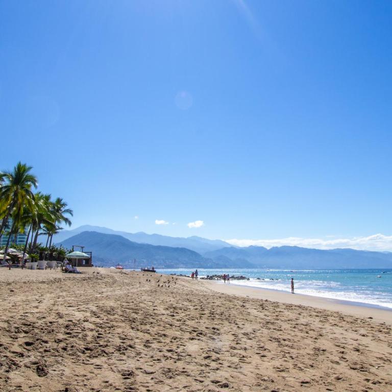 Icon Vallarta 1-1004 - Apartamento de 3 dormitorios - 50