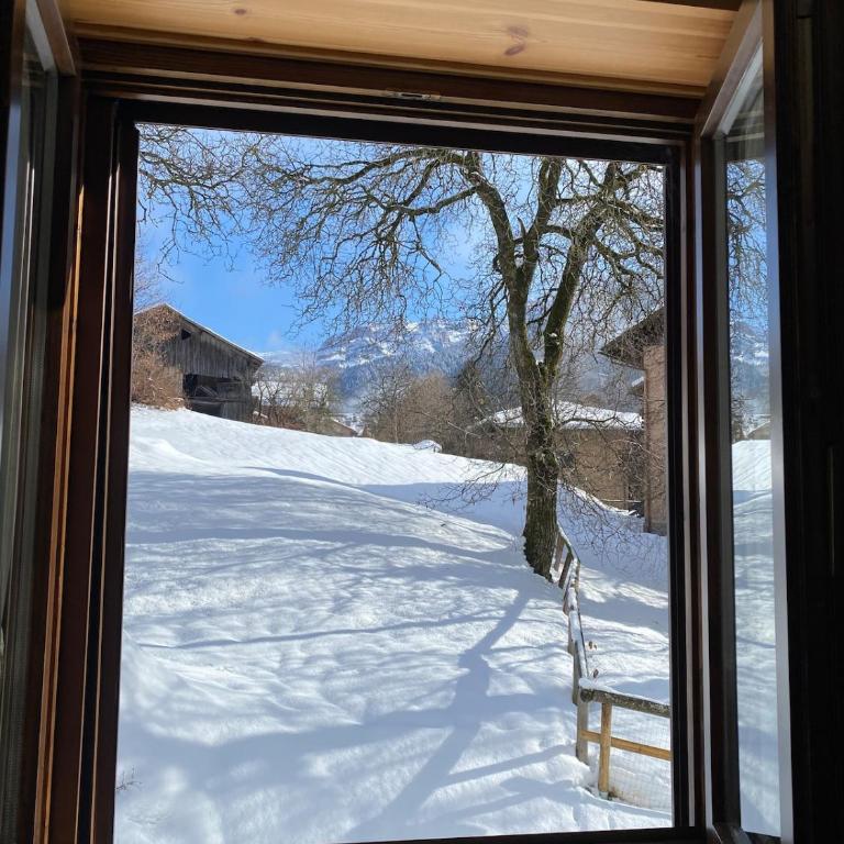 Appartamento Maison AgaVì tra Pinzolo e Campiglio - One-Bedroom Apartment with View - 1