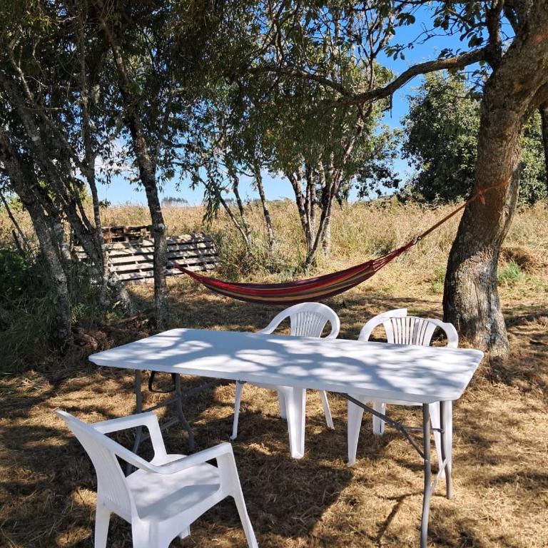 Casona de campo en los Muermos - Three-Bedroom House - 31