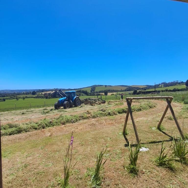 Casona de campo en los Muermos - Three-Bedroom House - 40