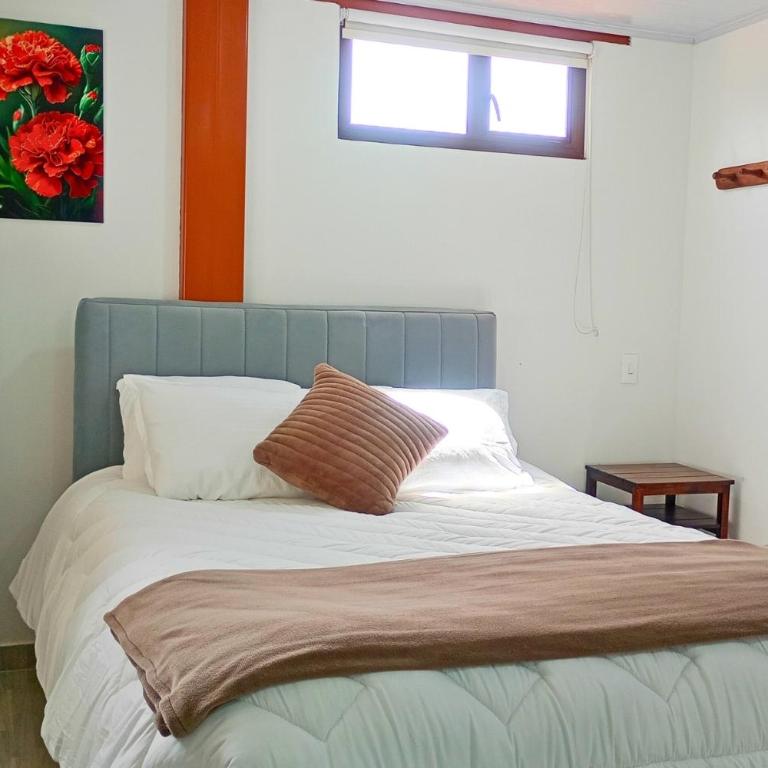 Apto 204 Apartahotel Los Pinos - Apartamento de 1 dormitorio - 1