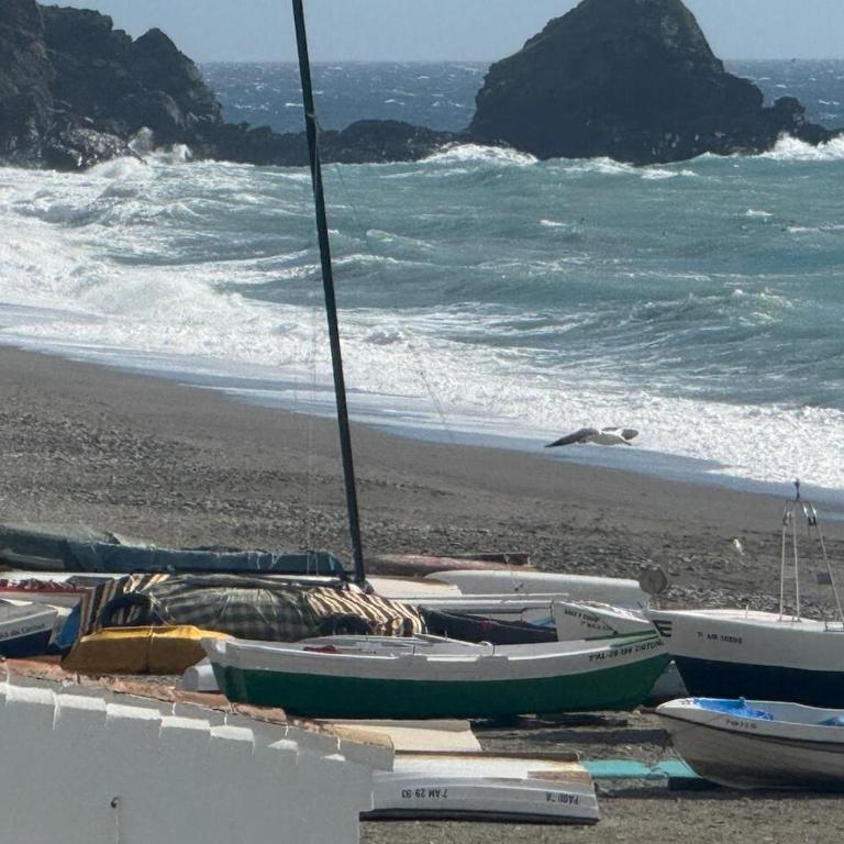 San Cristobal Sea View - Apartamento de 1 dormitorio - 27