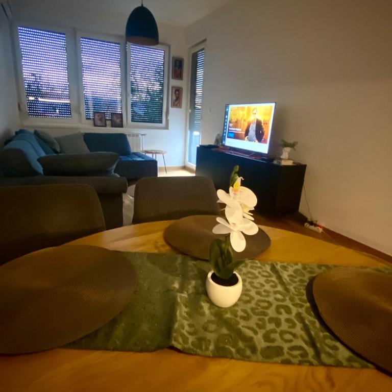 Apartman Look Up Garage parking - Apartman sa 1 Spavaćom Sobom - 13