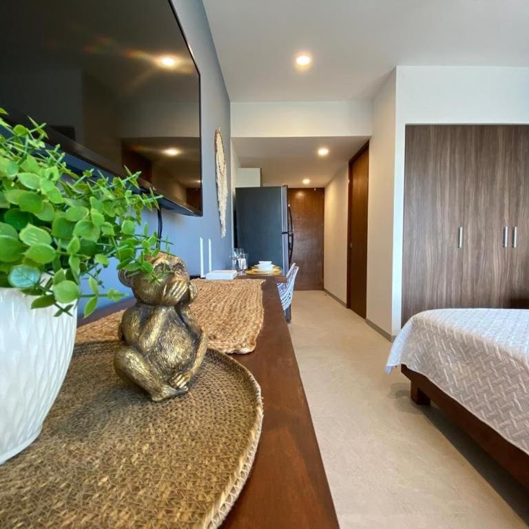 Estudio nuevo en el corazón de Playa del Carmen - Studio - 6
