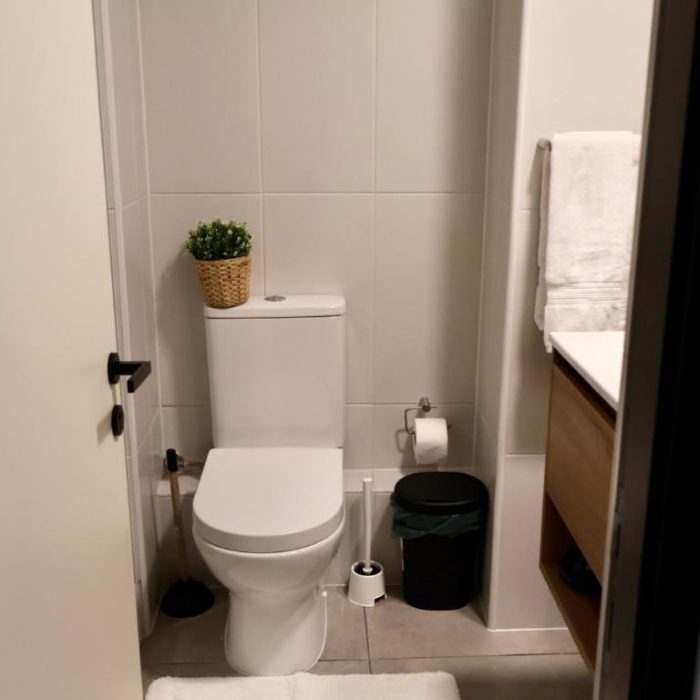 Fully Furnished Studio Apartment in Greystar Somma - One-Bedroom Apartment - 7