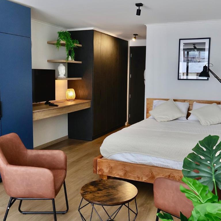 Fully Furnished Studio Apartment in Greystar Somma - One-Bedroom Apartment - 1