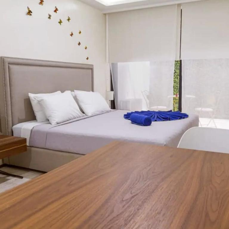 Apts 200m from beach sleeps 10 - Studio - 15