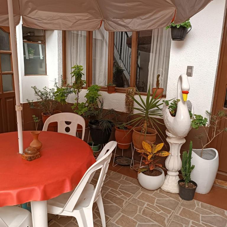 Friendly, Comfortable and Quiet 3 - Two-Bedroom Apartment - 22