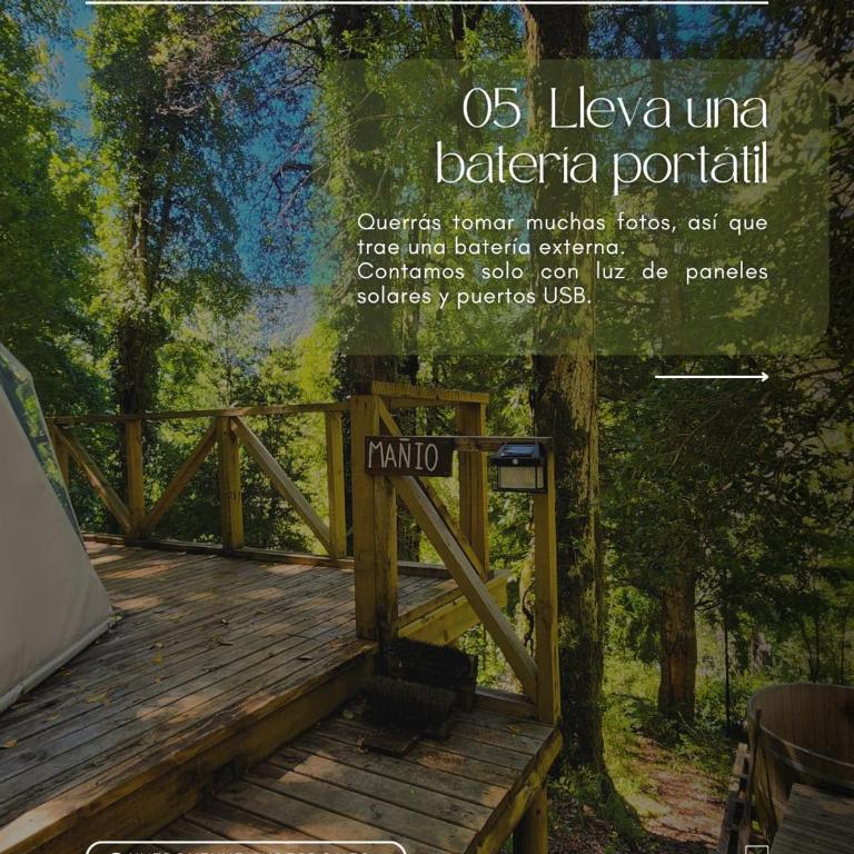 Glamping Pucón - One-Bedroom Apartment - 16