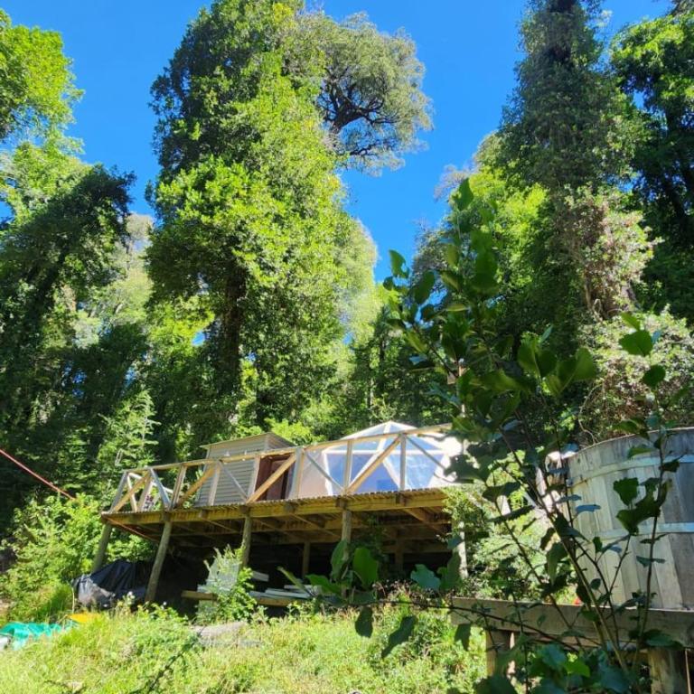 Glamping Pucón - One-Bedroom Apartment - 1