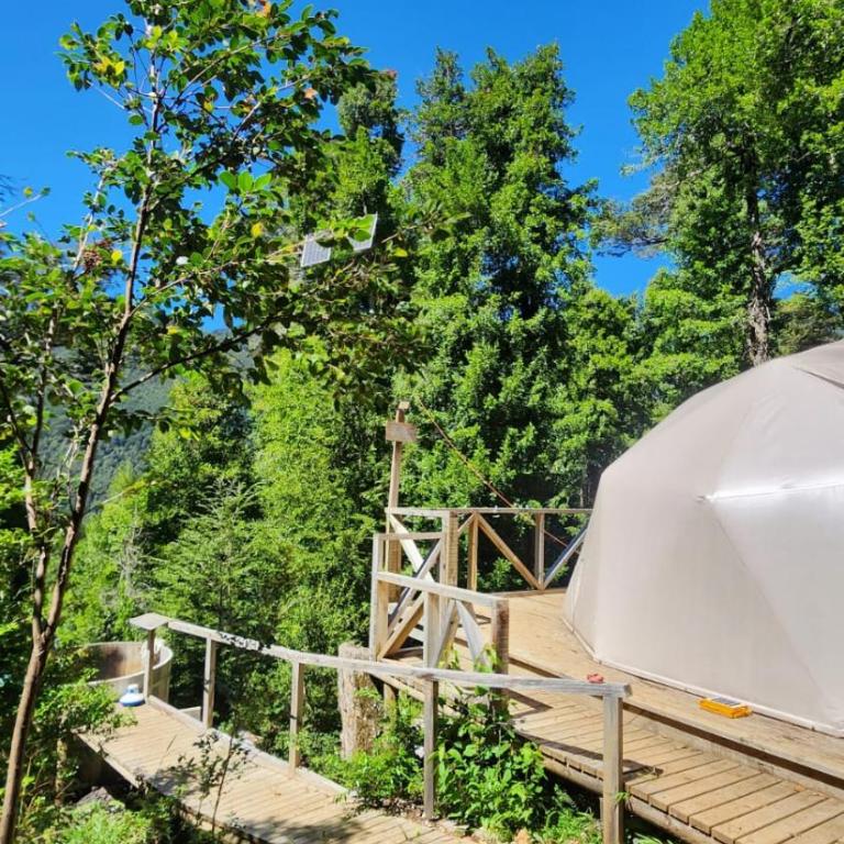 Glamping Pucón - One-Bedroom Apartment - 9