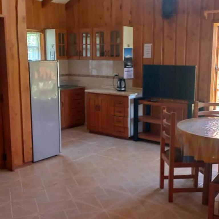 Cabaña céntrica Pucón - Two-Bedroom House - 13