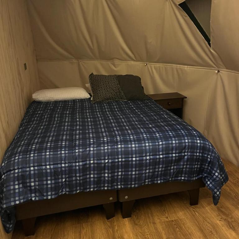 Domo - Two-Bedroom Apartment - 6