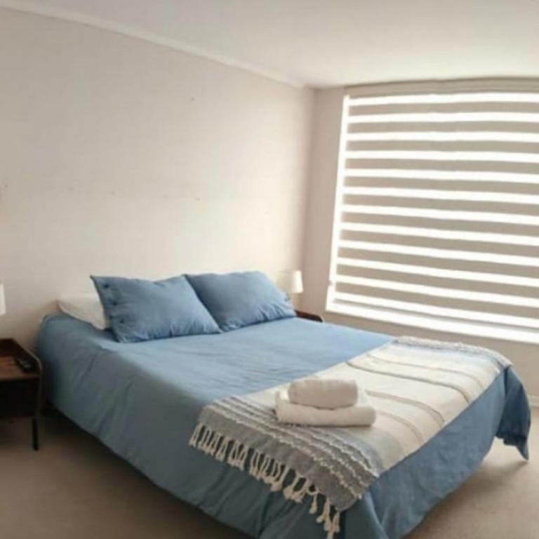 DPTO Tesei - Apartamento de 3 dormitorios - 4