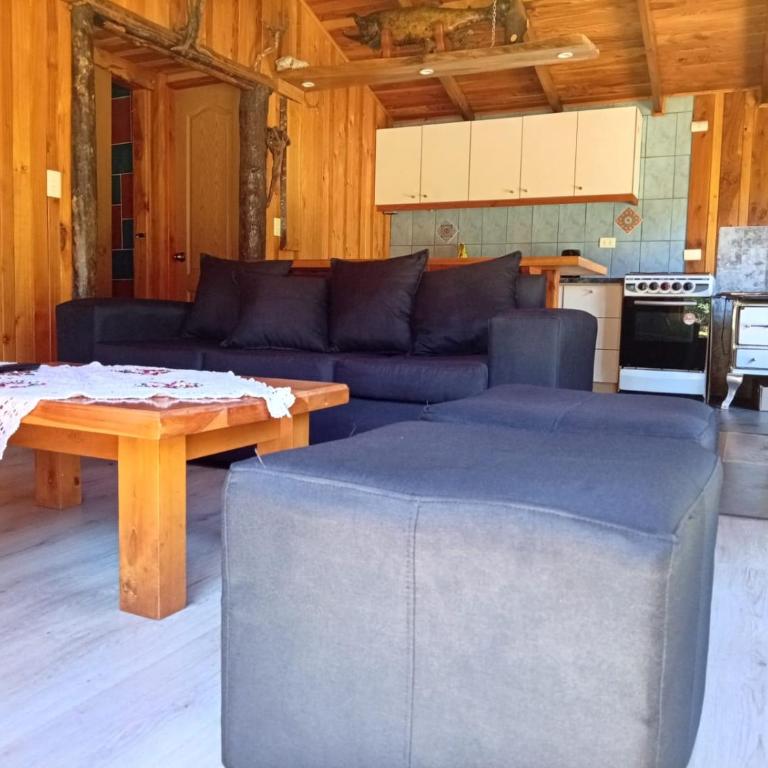 Cabaña borde rio - Two-Bedroom Apartment - 9