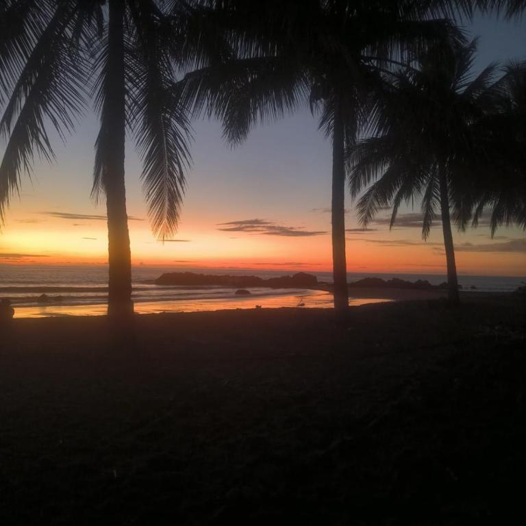 Cocoloco's Lodge - Family Bungalow - 16