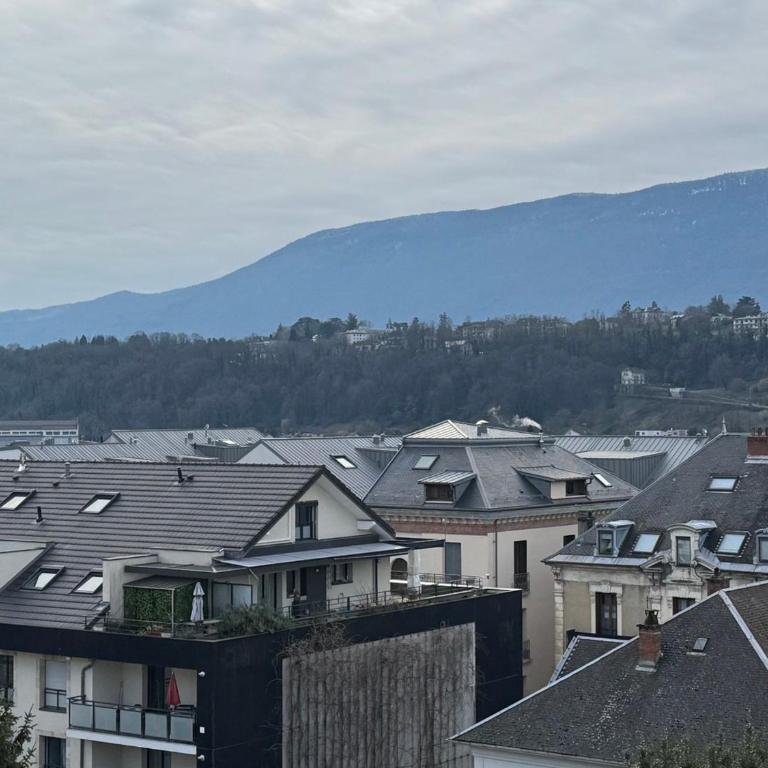 Studio calme centre-ville avec WIFI, animaux admis - FR-1-555-126 - Studio - 5