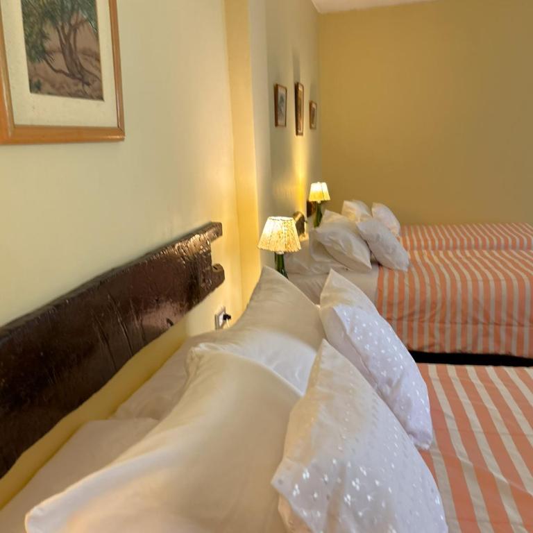 Serenity Lodge - Quadruple Room with Garden View - 2