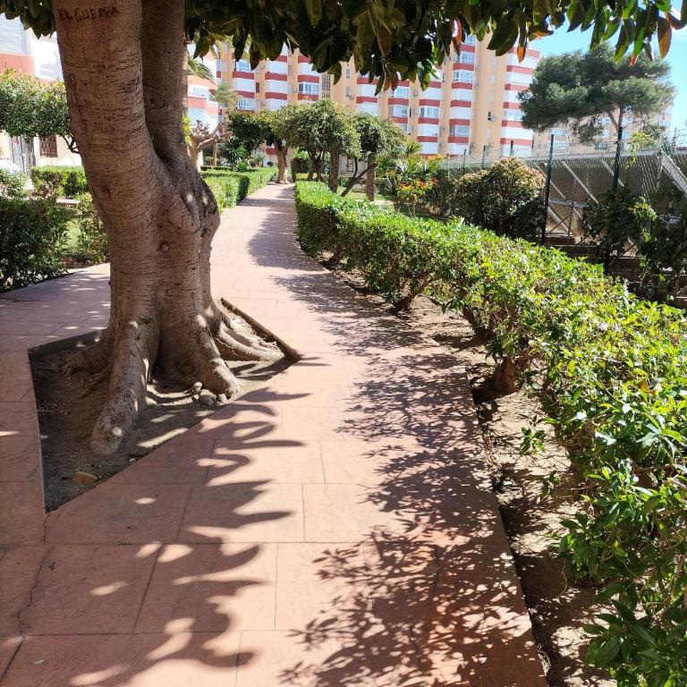 Torrox Costa Mar - Apartamento de 1 dormitorio - 2