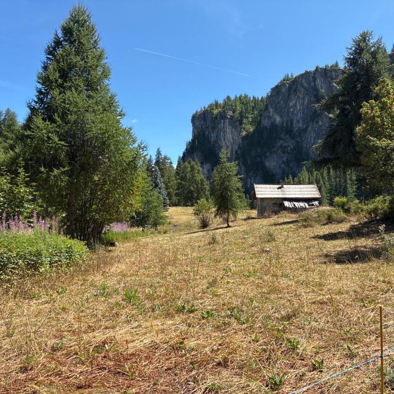 Parc des Ecrins 05290 Les MAISONNETTES APPARTEMENT 4 Pers - Apartamento con vistas y balcón - 7