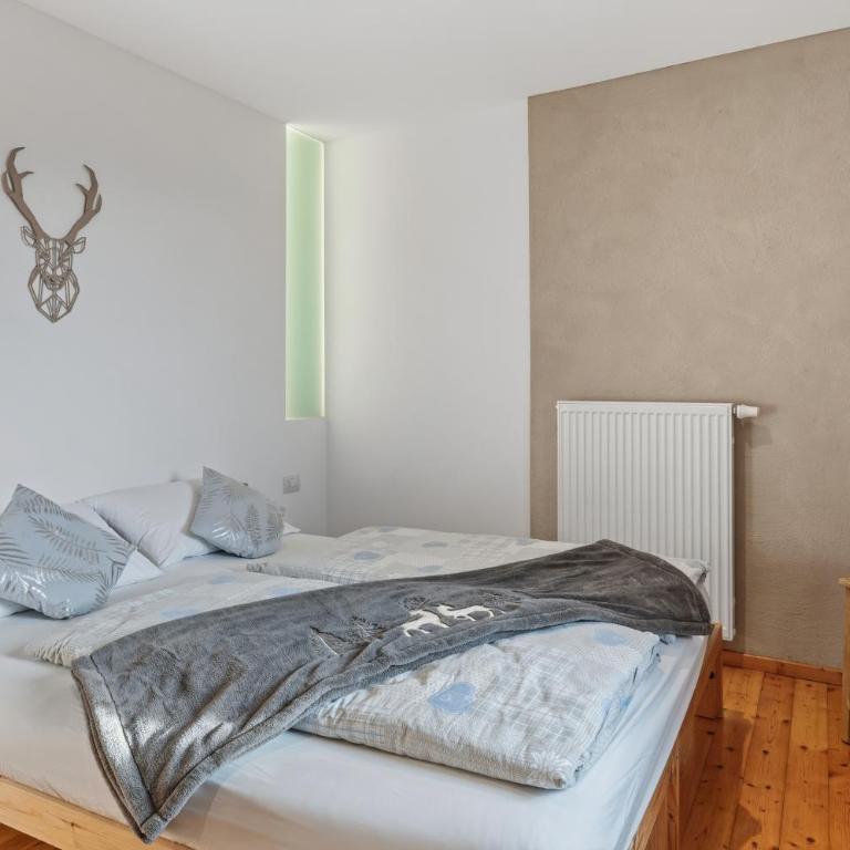 Apartment Panorama Val di Non - Appartamento con 2 Camere da Letto - 18