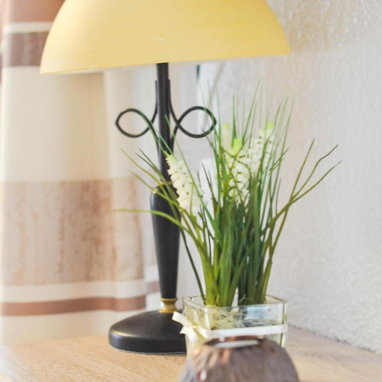Biobauernhof Tonimörtl - Studio-Apartment - 7