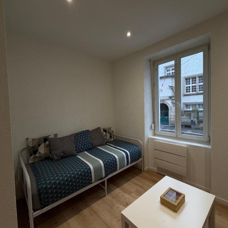 Le 13 - Petit F2 rénové Mulhouse centre - stationnement gratuit - Apartamento de 1 dormitorio - 1