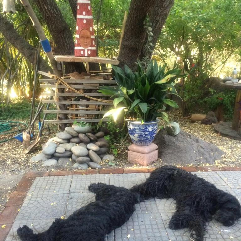 Maipo Shanti Lodge - Chalet - 12