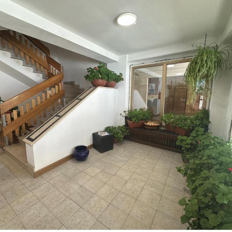 Panorama sul Cervino - Appartamento con 1 Camera da Letto - 3