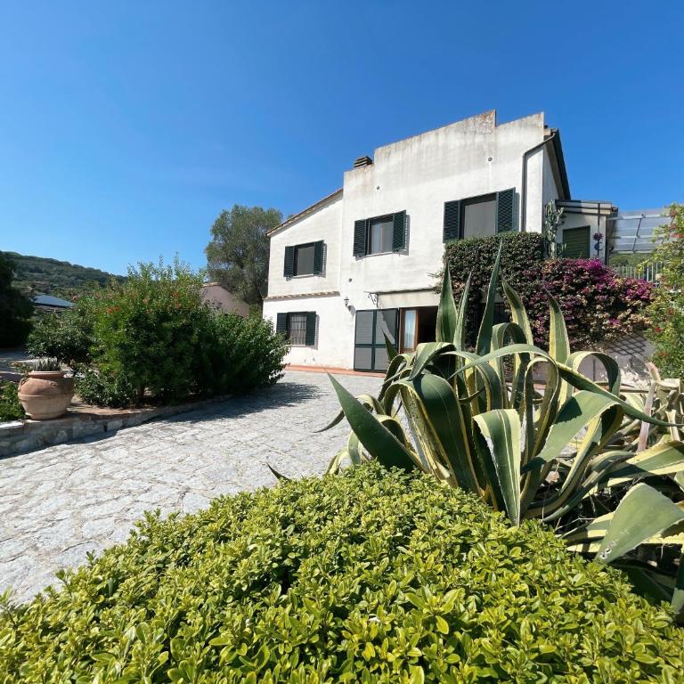 Villa Presaccia - Argonautivacanze - Villa con Vista Giardino - 1