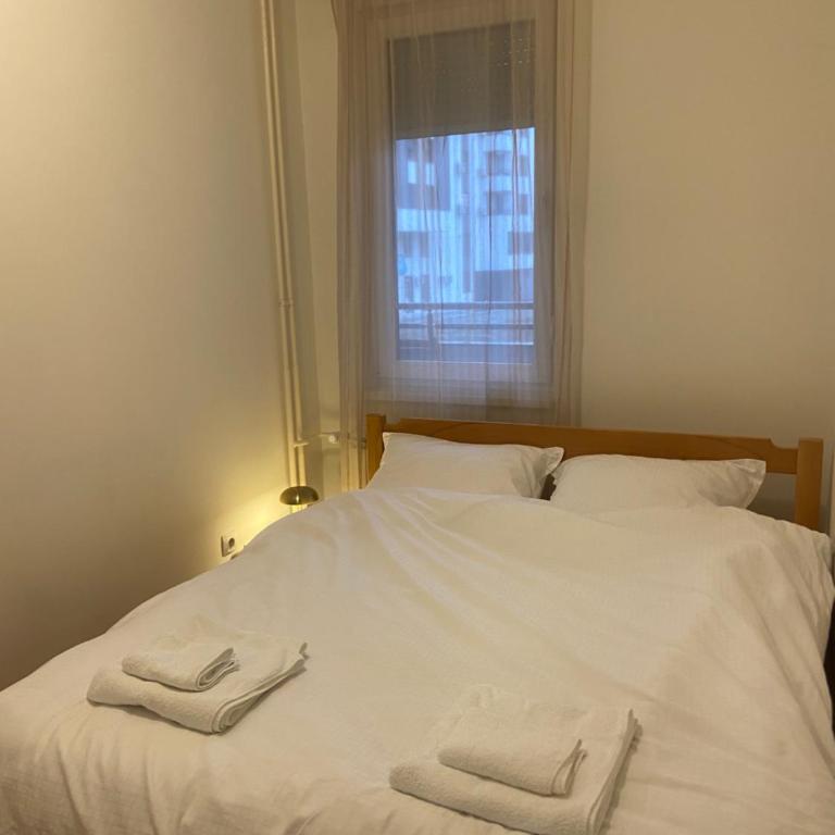Nika Apartments Vracar - One-Bedroom Apartment - 13