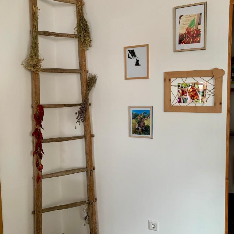 Mooshof - Farm apartment for families, motorcyclists, hikers & cyclists in Stelvio National Park - Appartamento con 3 Camere da Letto - 14