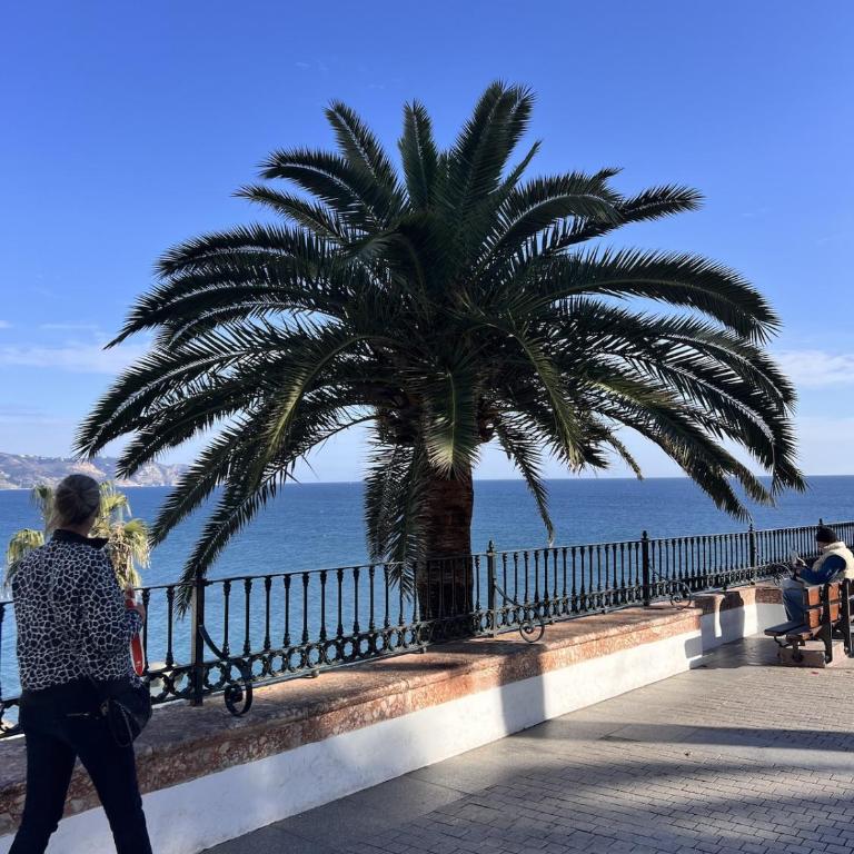 Atico Calma - Apartamento de 2 dormitorios con terraza y vistas al mar - 13
