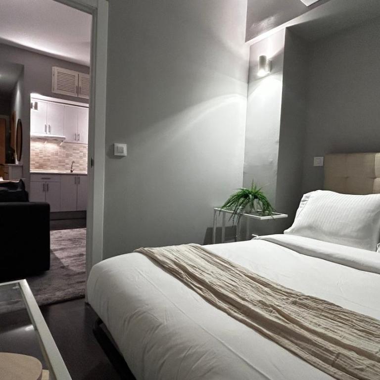 Apartamentos Chueca 6 - One-Bedroom Apartment - 2