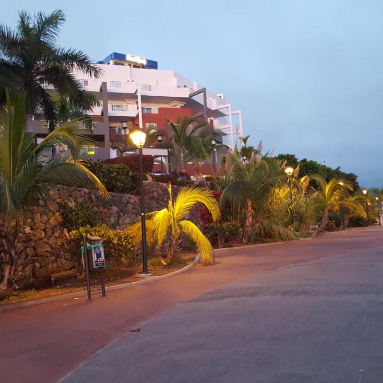 Magical Sunset - Apartamento de 1 dormitorio - 40