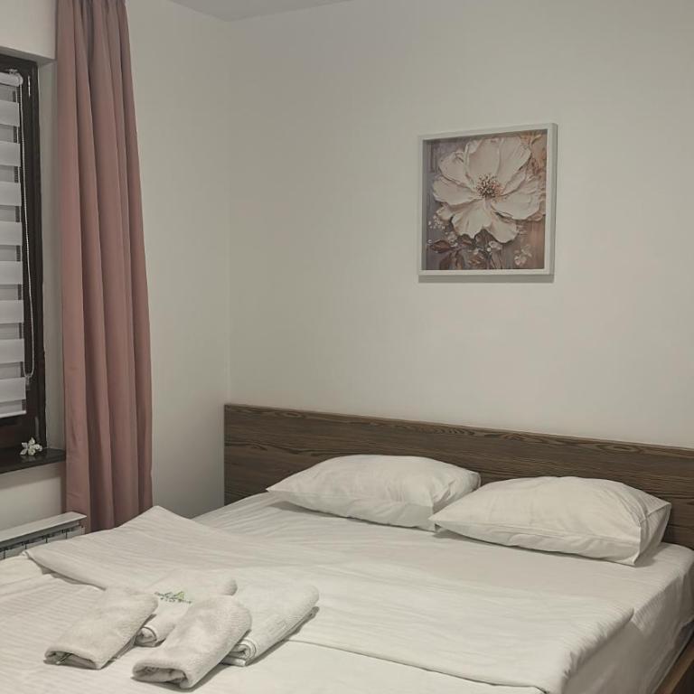 Apartman K10A5 Zlatibor - Apartman sa 1 Spavaćom Sobom - 5